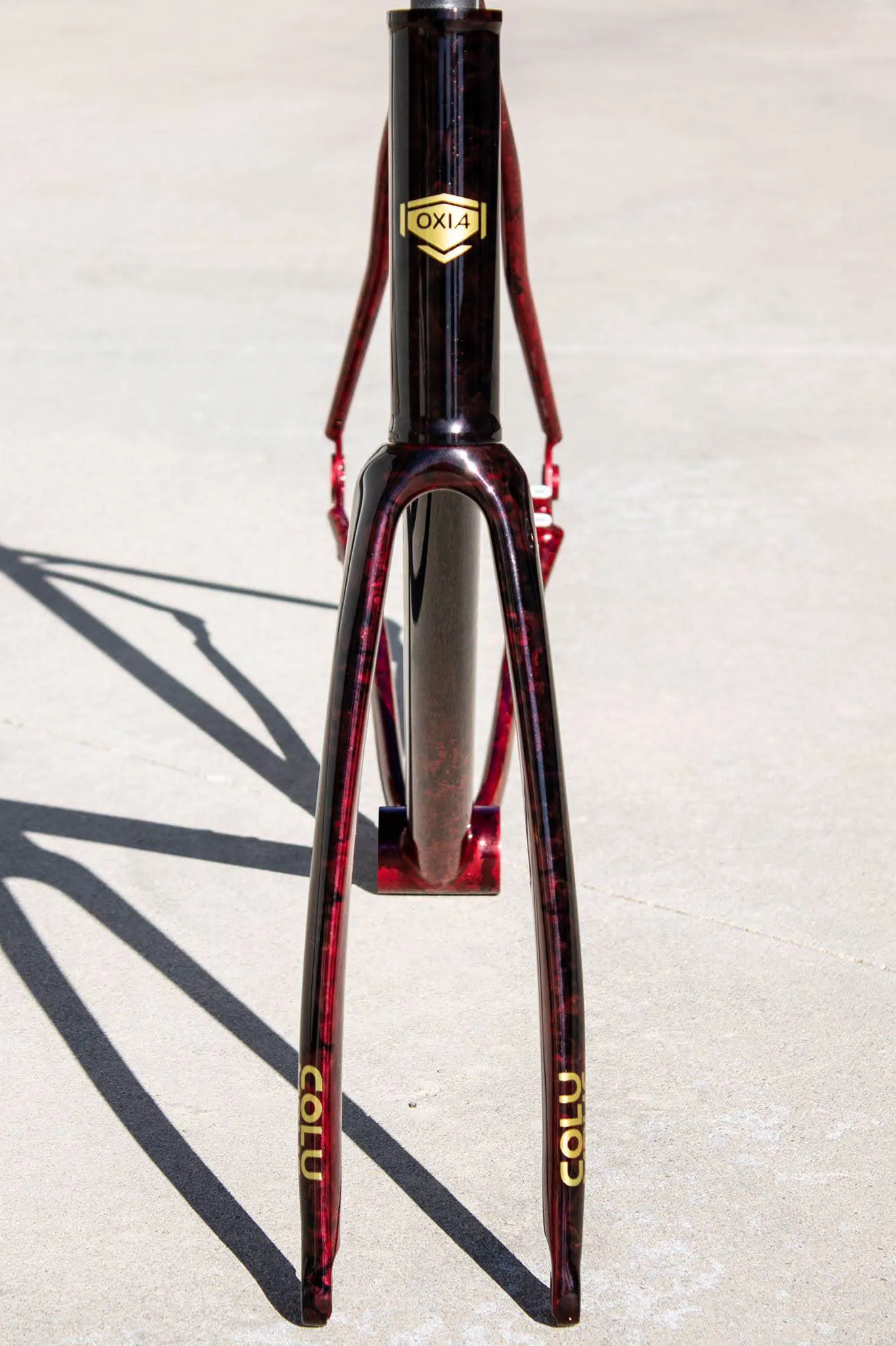 Frame detail of Oxia Luzifer